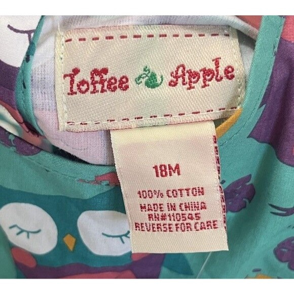 Toffee Apple Girls Purple & Green Cute Owl Buttoned Dress NWT Size 18 Months - Picture 8 of 10